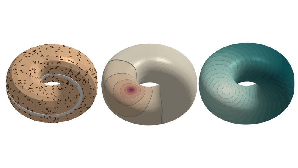 Discover Meschers, MIT's tool for crafting paradoxical digital objects