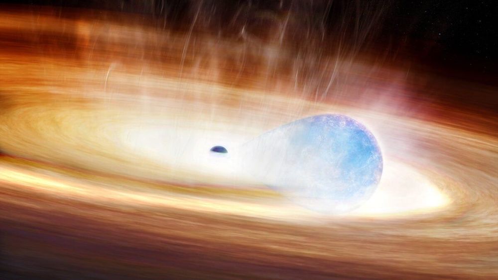 Star attempts to swallow black hole, igniting one of the strangest supernovas ever seen