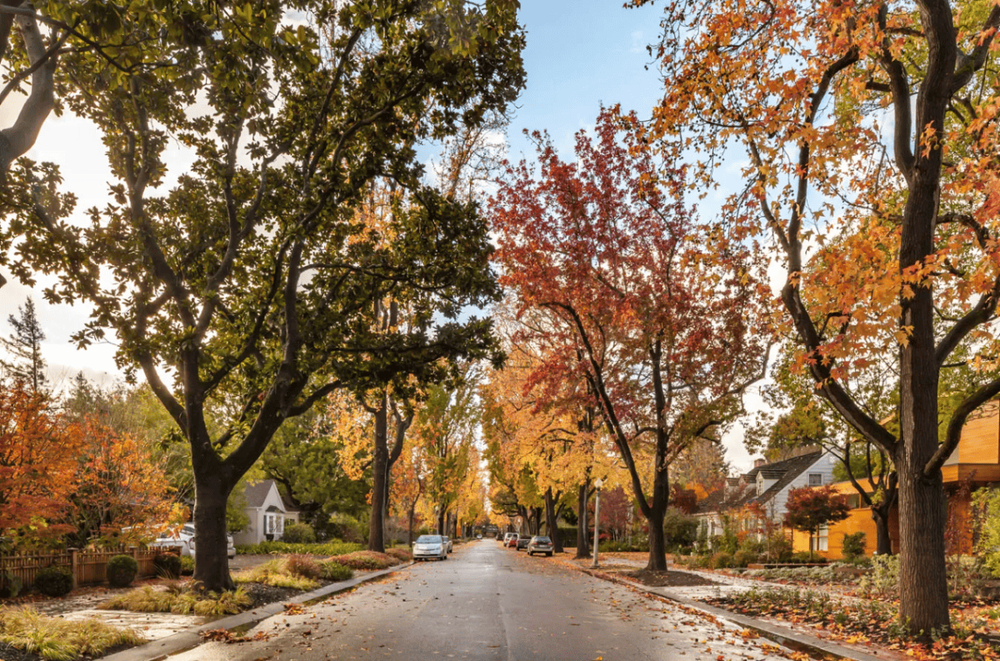 The hidden cost of living near Mark Zuckerberg’s $110M compound