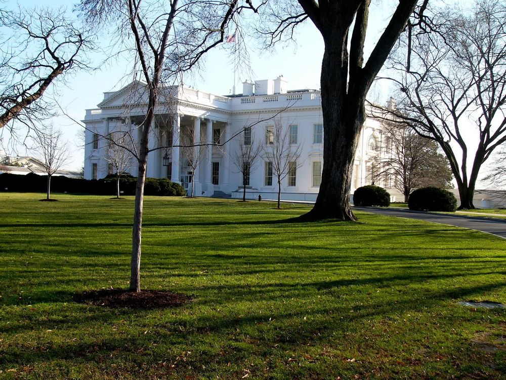 The White House indicates chip revenue deals might expand beyond Nvidia and AMD