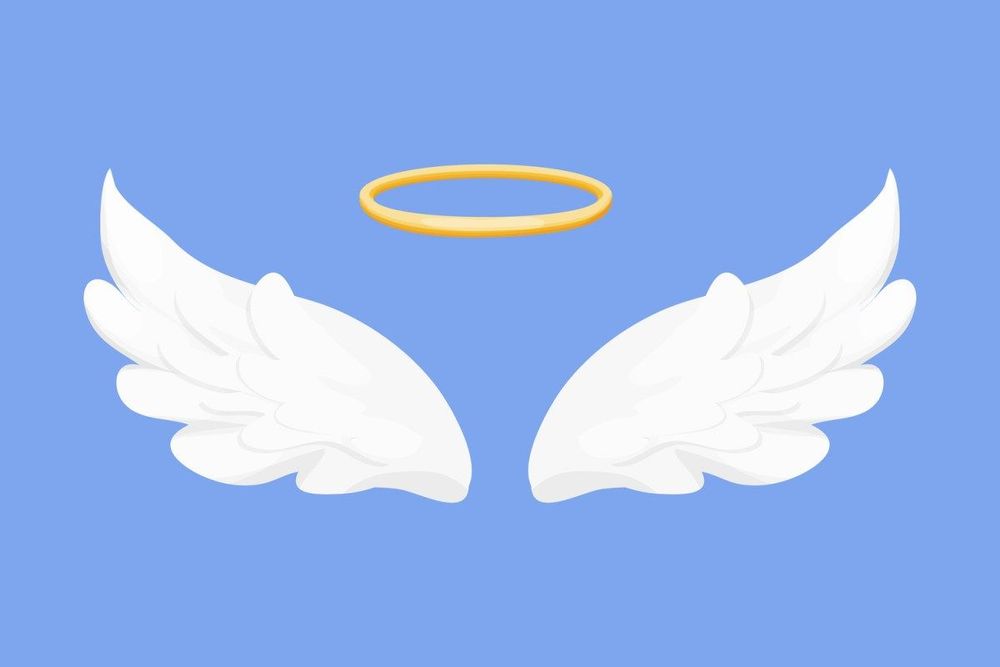 An angel investor was so intrigued by this startup, he joined as a co-founder