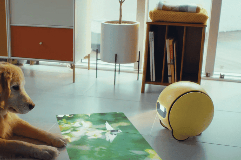 Samsung says its home robot, Ballie, will roll out the first half of 2025