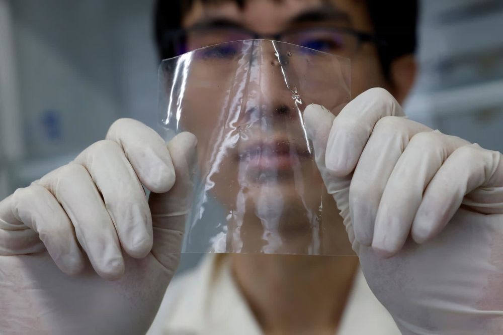 Scientists create plastic dissolving in seawater within hours