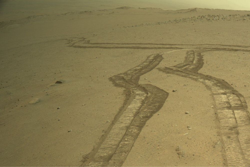 Scientists discover giant organic molecules on Mars as old as life on Earth