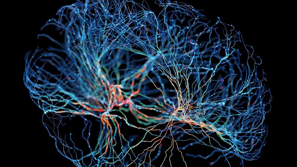 Survey asked neuroscientists if memories can be extracted from the deceased. Here's their response