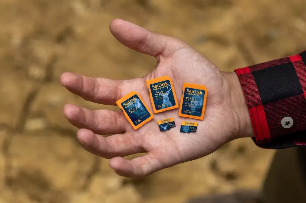 Tests on hundreds of SD cards show unexpected disparities in performance and reliability