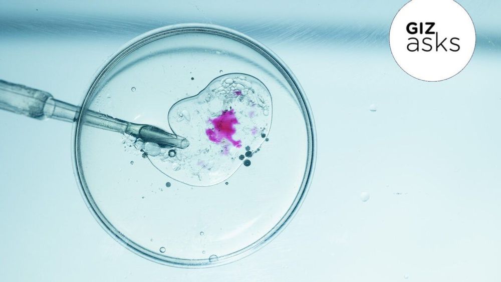 When will genetically modifying our children become mainstream?